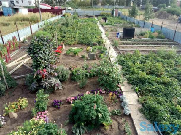 дача, с/т Агроном, м-н Интернациональный, уч-хоз., фотография 4