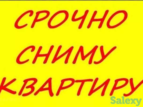 Срочно сниму квартиру, фотография 1