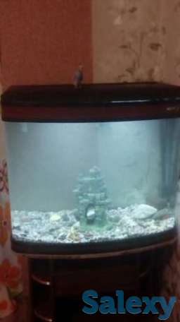 Продам аквариум, фотография 1