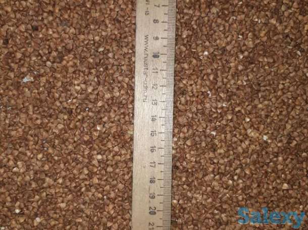 Крупа гречневая, фотография 1