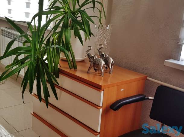 Продам тумбу с выдвижными ящиками, функциональная, цвет белый + бук в отличном состоянии, фотография 1