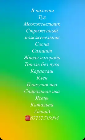 Продам саженцы, фотография 1