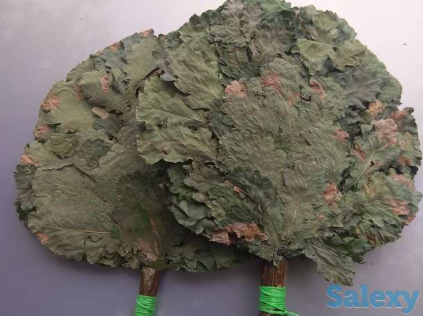 Веники дубовые, фотография 1