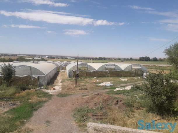 Сарай, теплица, Жаңа арық, фотография 7