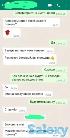 ДОМАШНЕЕ ЗАДАНИЕ, ЭССЕ, Презентация, СОР СОЧ, Экзамены, фотография 3