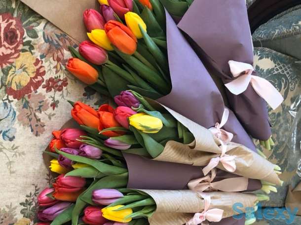 Продам тюльпаны красивые к 8 марта, фотография 4