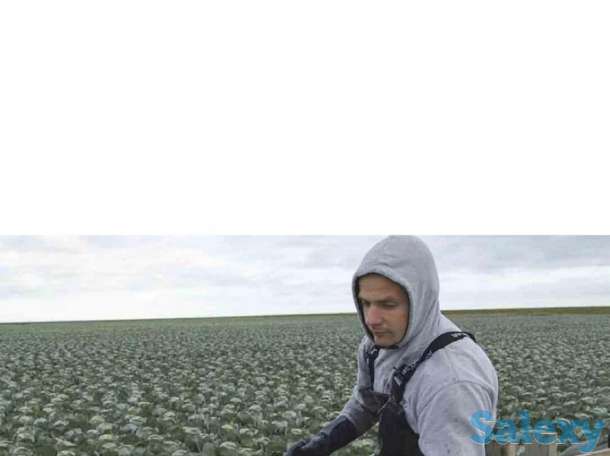 Работа в Европе на ферме, фотография 1