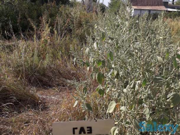 Продам дачу, уральск, фотография 5