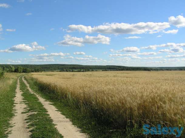 Коммерческое предложение по продаже 5000га земельных угодий в Московской области Росия, фотография 1