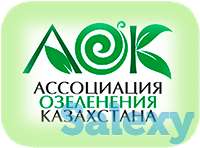 Семена газона JOHNSONS, фотография 3