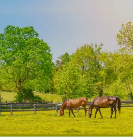 Земля кх 9600 га Караганда, Карагандинская область, фотография 1