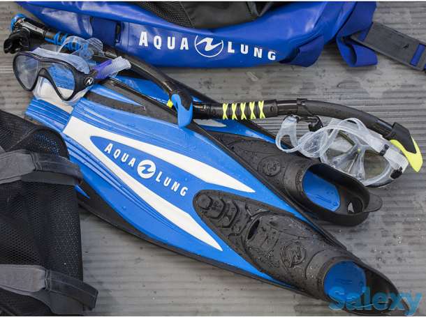 Ласты экспресс black/blue, фотография 3