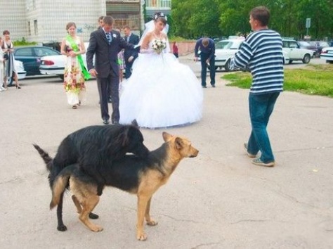 видео услуги, фотография 8