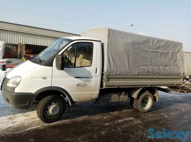 Газель, фотография 1