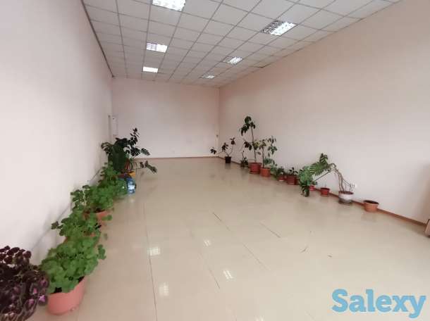 Сдам офисные помещения, фотография 2