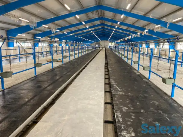 Молокопровод, фотография 1