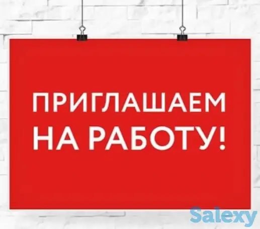 Требуются экономисты,финансисты,банкиры,маркетологи, фотография 1