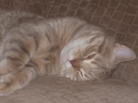 Документ-камера MimioView, фотография 1