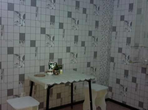 Меняю 1к.кв. ул.пл.,44кв.м.,на 3/6эт.,на част.дом., фотография 8