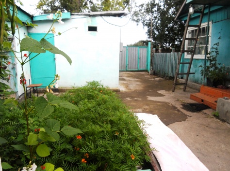 Продам 4-х комнатный дом, фотография 4