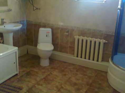 продаю дом, п.Берлин, фотография 5