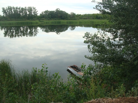 Продам участок, За Дарьинском, фотография 2