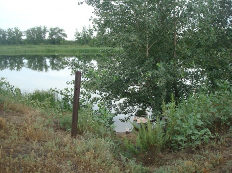 Продам участок, За Дарьинском, фотография 4