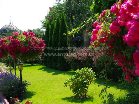 Курсы садовников, ландшафтных дизайнеров, фотография 2