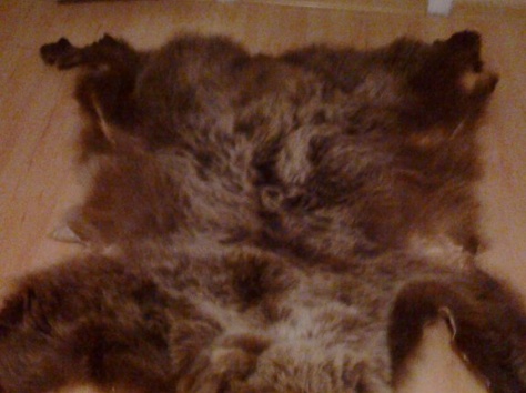 шкура, фотография 1