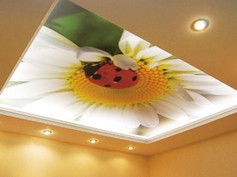 Натяжные потолки, фотография 19