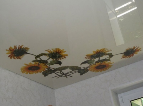 Натяжные потолки, фотография 20
