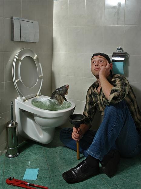 Все виды сантехнических работ , фотография 1