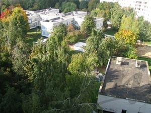 Требуется, фотография 10