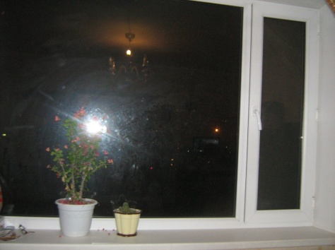 Срочно продам квартиру, Степной-1, дом 46, фотография 9