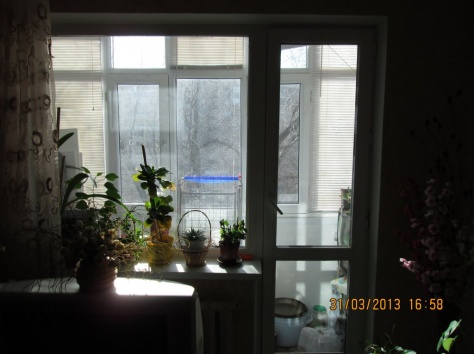 3х комнатная в Уральске, фотография 2