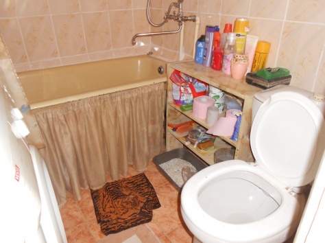 2-х на Мызы, фотография 8