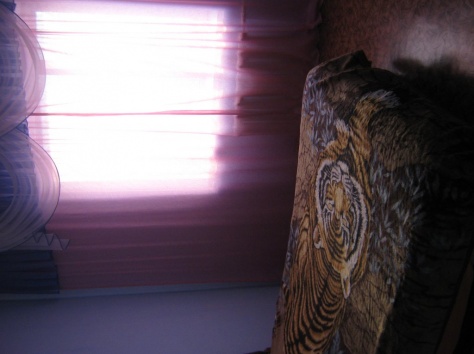 Сдам  посуточно, ул.Бульвар Гагарина 27, фотография 3