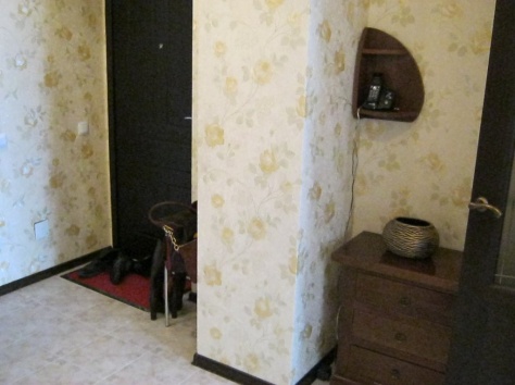 Аренда Квартиры, Элитный 