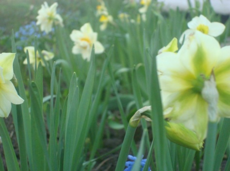 Продам особняк!!!, фотография 5