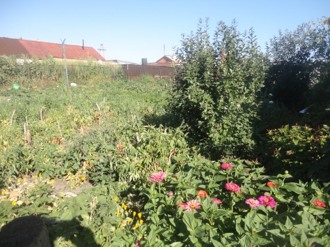 дом в г Шахтинске, фотография 10