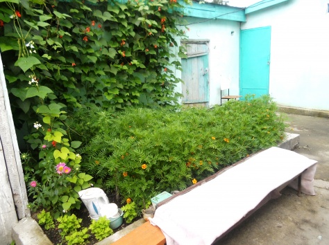 Продам 4-х комнатный дом, фотография 10