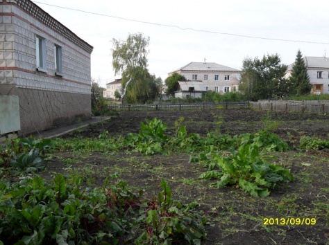 продам пол-дома, ул.Товарищеская5А/1, фотография 8