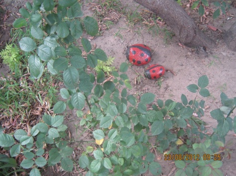 Продам коттедж, Карасу Новый, фотография 11