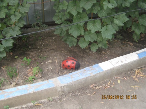 Продам коттедж, Карасу Новый, фотография 12