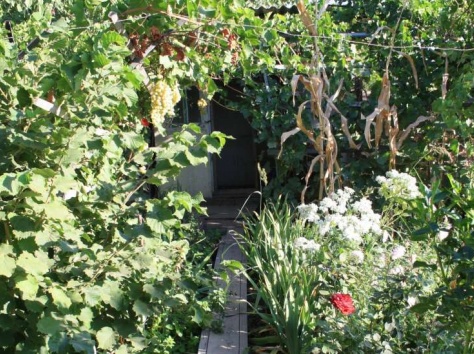 СРОЧНО продаётся двухэтажный,уютный и очень тёплый дом, фотография 5