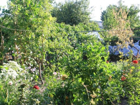 СРОЧНО продаётся двухэтажный,уютный и очень тёплый дом, фотография 7