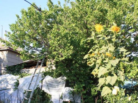 СРОЧНО продаётся двухэтажный,уютный и очень тёплый дом, фотография 8