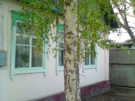 Продам дом в Первомаике кирпич 75000, первомаика вокзальная 147, фотография 2