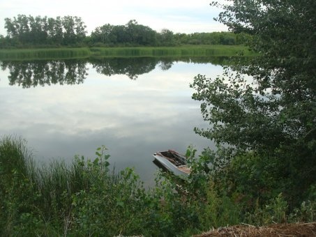 Продам участок, За Дарьинском, фотография 6