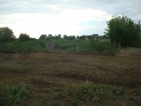 Продам участок, За Дарьинском, фотография 7